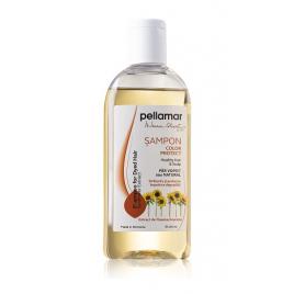 Sampon par vopsit cu ext.fl.soarelui 250ml