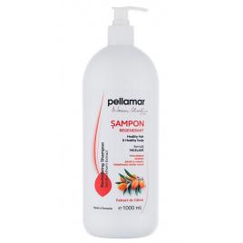 Sampon regenerant extract catina 1000ml