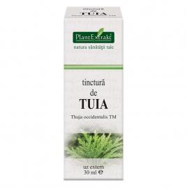 Tinctura tuia tm 30ml