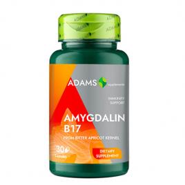 Amigdalina b17 100mg 30cps vegetale