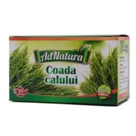 Coada calului 20dz