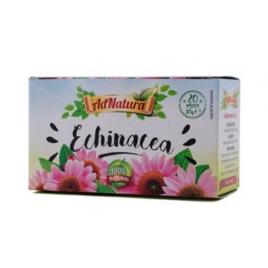 Echinacea 20dz