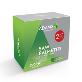 Saw palmetto 500mg 2*60cps pch