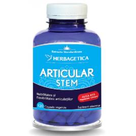 Articular stem 120cps vegetale