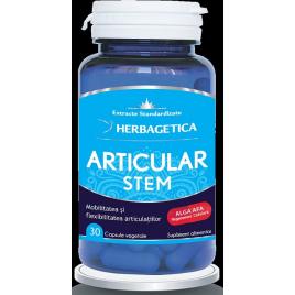 Articular stem 30cps vegetale