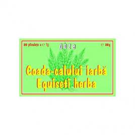Coada calului 20dz