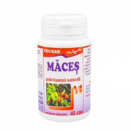 Maces 40cps favisan