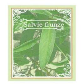 Salvie 50gr