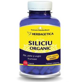 Siliciu organic 120cps