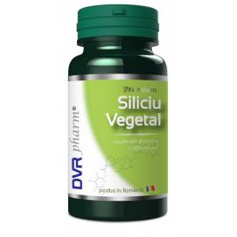 Siliciu vegetal 60cps