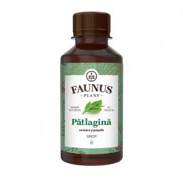 Sirop patlagina cu miere si propolis 200ml