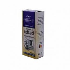 Tinctura de dragaica 200ml