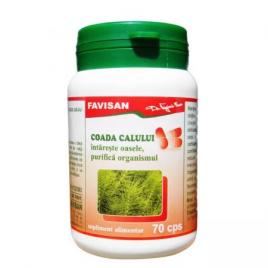 Tinctura galbenele 500ml