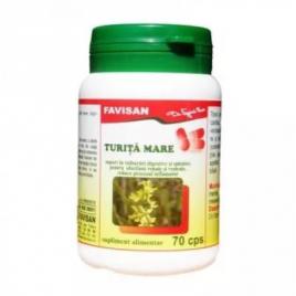 Turita mare 70cps favisan