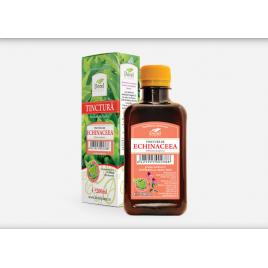 Tinctura echinaceea purpureea 200ml