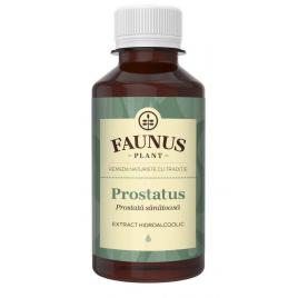 Tinctura prostatus 200ml (prostata sanatoasa)