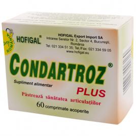 Condartroz plus 60cpr