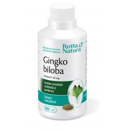 Gingko biloba extract 60mg 90cps