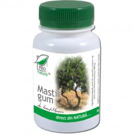 Mastic gum 60cps