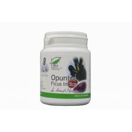 Opuntia ficus indica 60cps