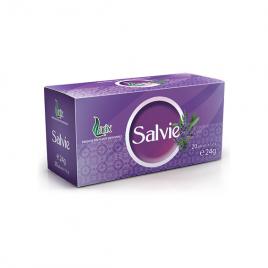 Salvie 20dz
