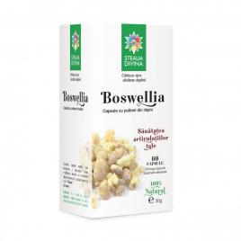 Boswellia 60cps