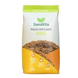 Fulgi crocanti de orz 250gr