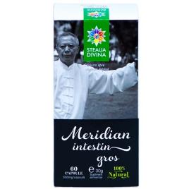 Meridian intestin gros 60cps