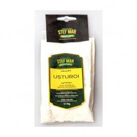 Usturoi pudra 70gr