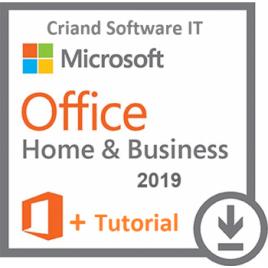Microsoft Office Home and Business 2019-Licenta Permanenta + Tutorial