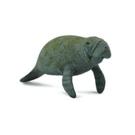 Lamantinul - collecta