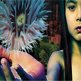 Future sound of london - lifeforms - vinyl - vinyl
