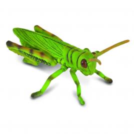 Figurina lacusta - collecta