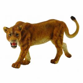 Figurina leoaica l collecta