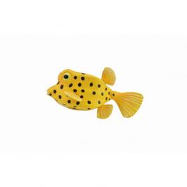 Figurina peste cubicus boxfish s collecta