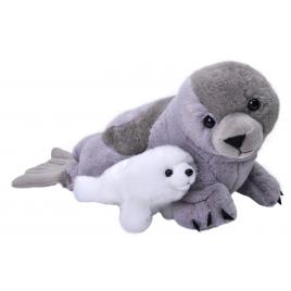 Mama si puiul - foca