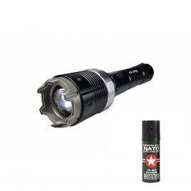 Kit electrosoc metalic cu lanterna si reglaj focusat 8810 si spray natto , ideallstore® ,19 cm