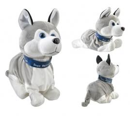 Catel interactiv husky