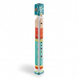 Instrument muzical flaut, djeco