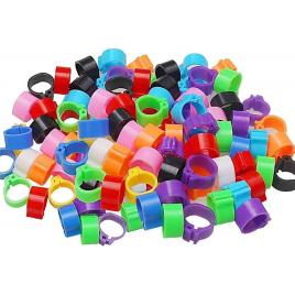 Set 100 inele pasari, iniversal, plastic, 8mm, multicolor