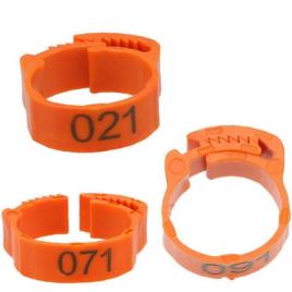 Set 100 inele pentru pasari, plastic, 1-100, portocaliu