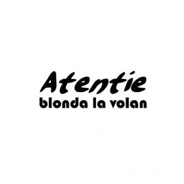 Sticker atentie 15x5 cm, creative rey®