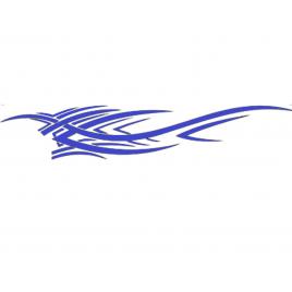 Sticker auto 
