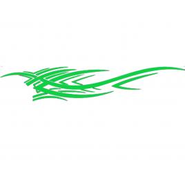 Sticker auto 