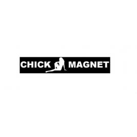 Sticker parasolar auto chick magnet, creative rey®