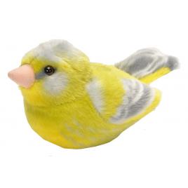 Pasare cu sunet florinte - greenfinch
