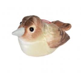 Pasare cu sunet privighetoare - nightingale