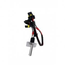 Bec xenon h7- 4.300k