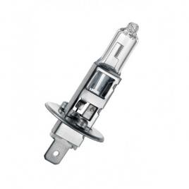 Bec halogen h1 24v