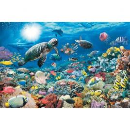 Puzzle adancul marii, 5000 piese